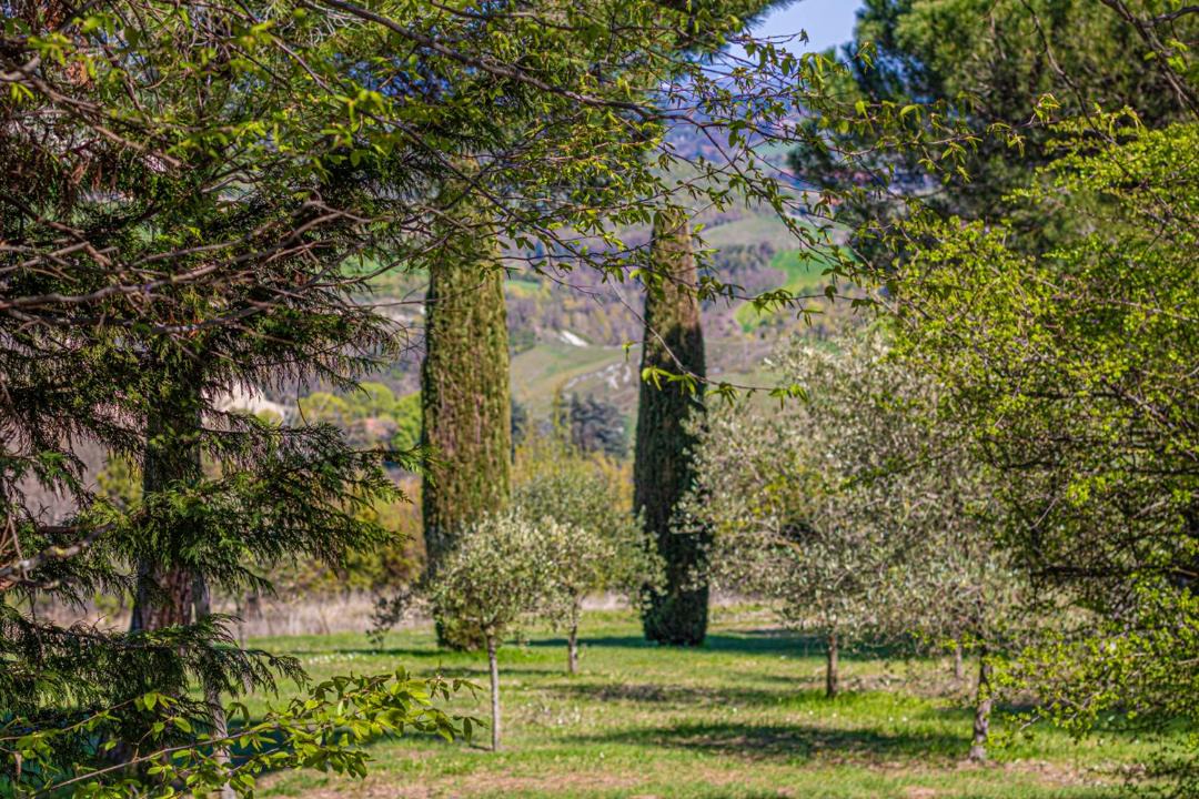 Photo of Others in Santo Stefano