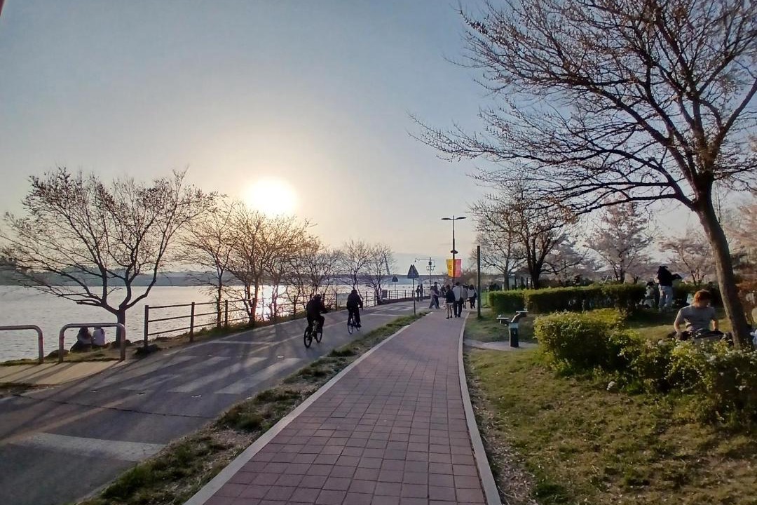 Photo of Others in Mangwon-dong
