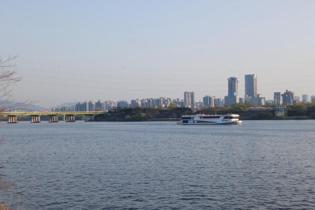 Photo of Buildings in Mangwon-dong