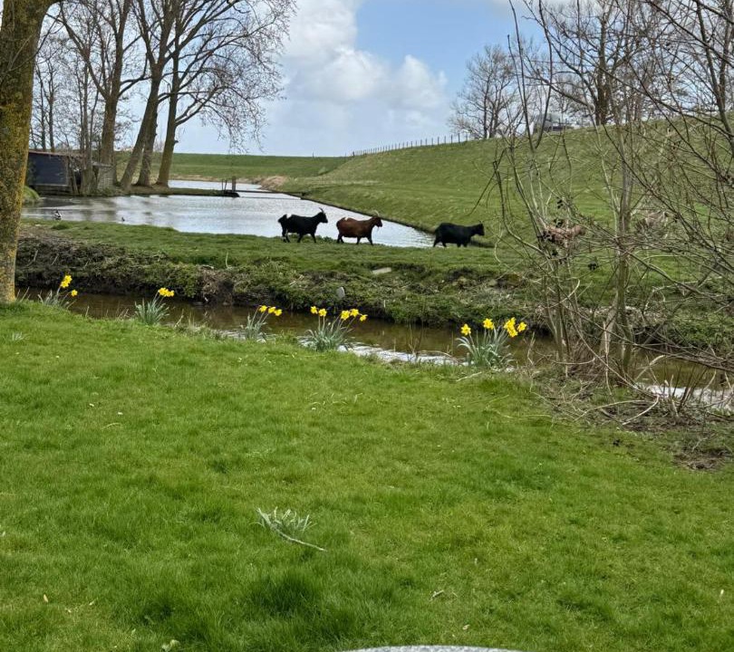Photo of Others in Oosterleek