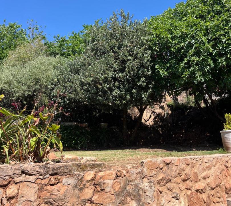 Photo of Others in Greater Johannesburg Metropolitan Area