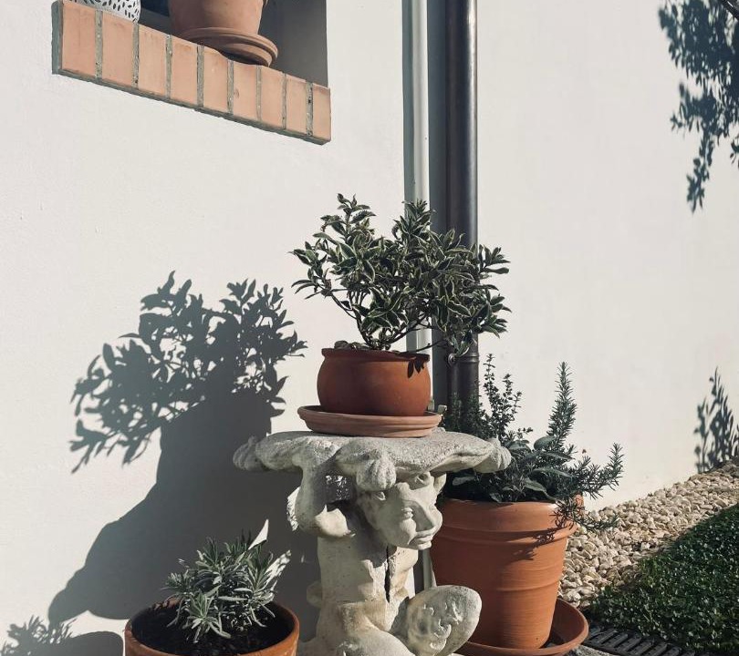 Photo of Others in Ravenna