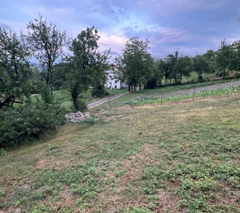 Photo of Others in Castiglione dei Pepoli