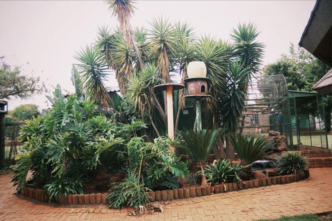 Photo of Others in Magaliesberg