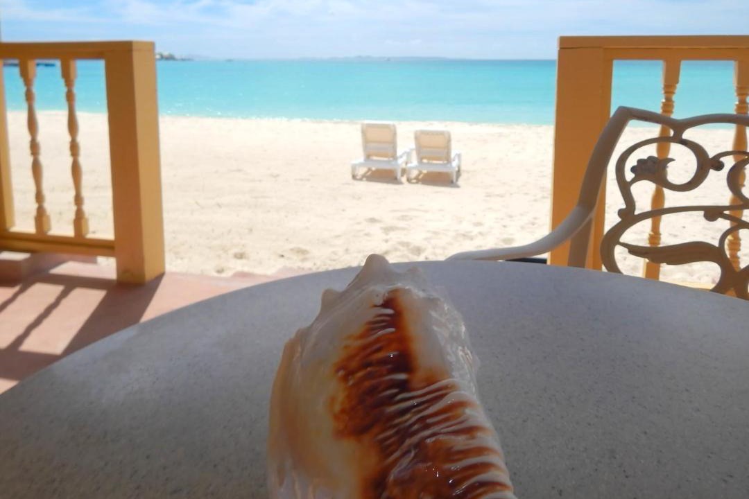 Photo of Others in Rendezvous Bay