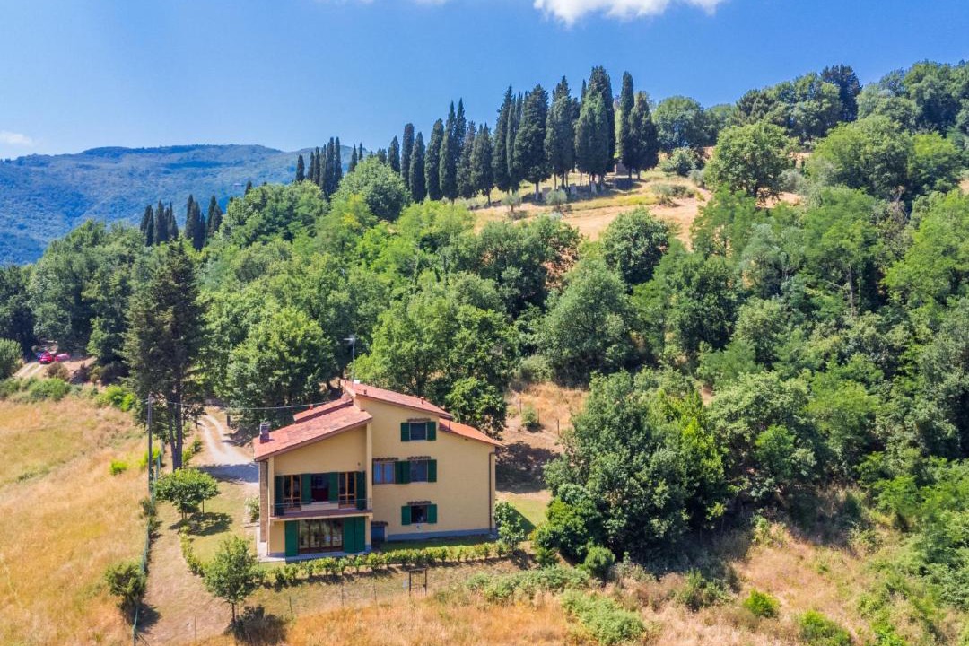 Photo of Others in Vicchio