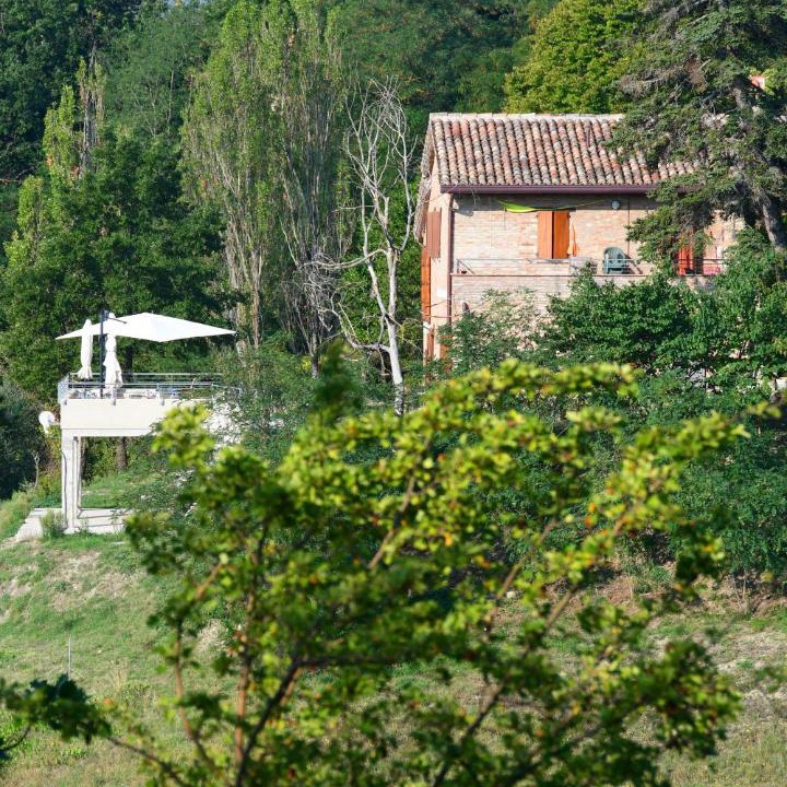 Photo of Others in Urbino