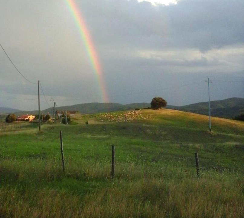 Photo of Others in San Macario In Monte