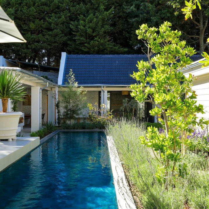 Photo of Others in Constantia