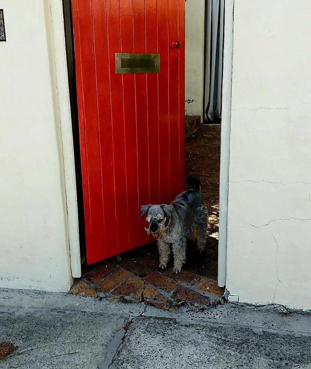 Photo of Others in Muizenberg