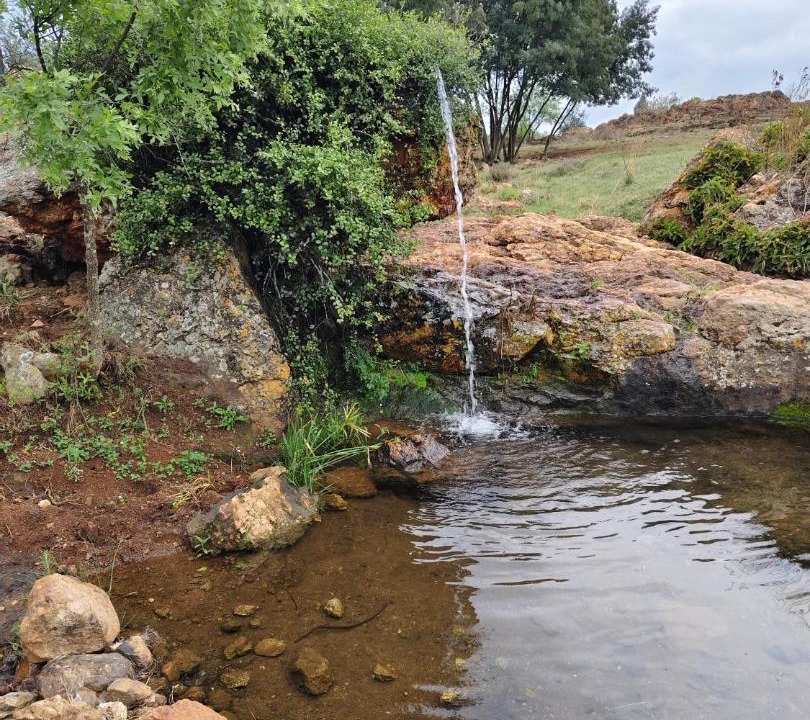 Photo of Others in Johannesburg