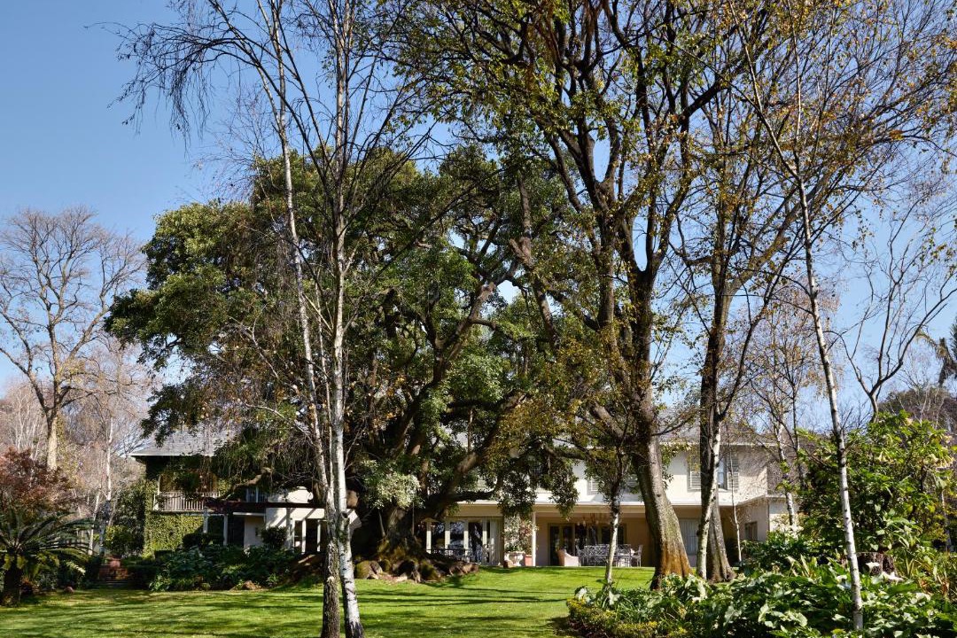 Photo of Others in Greater Johannesburg Metropolitan Area