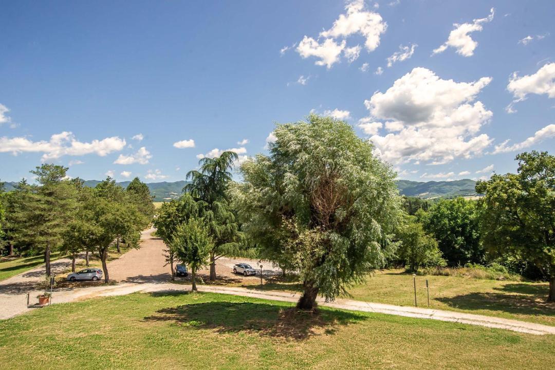 Photo of Others in Vicchio