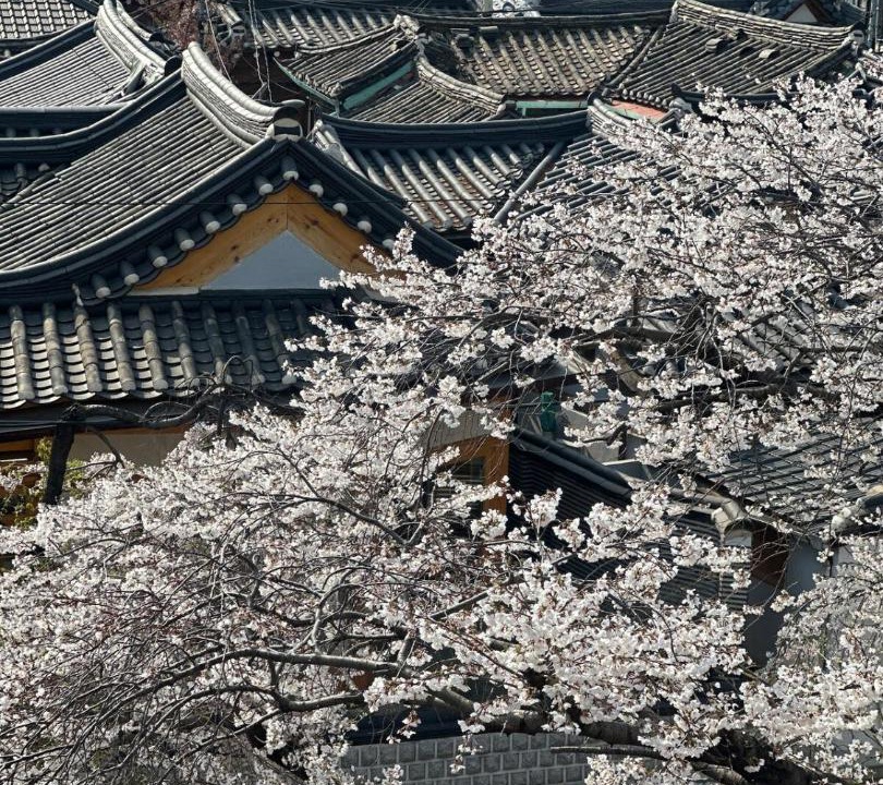 Photo of Others in Sajik-dong