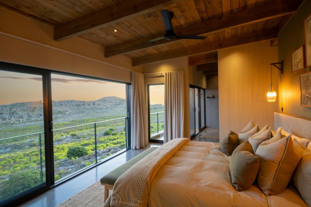 Photo of Others in Cape Peninsula