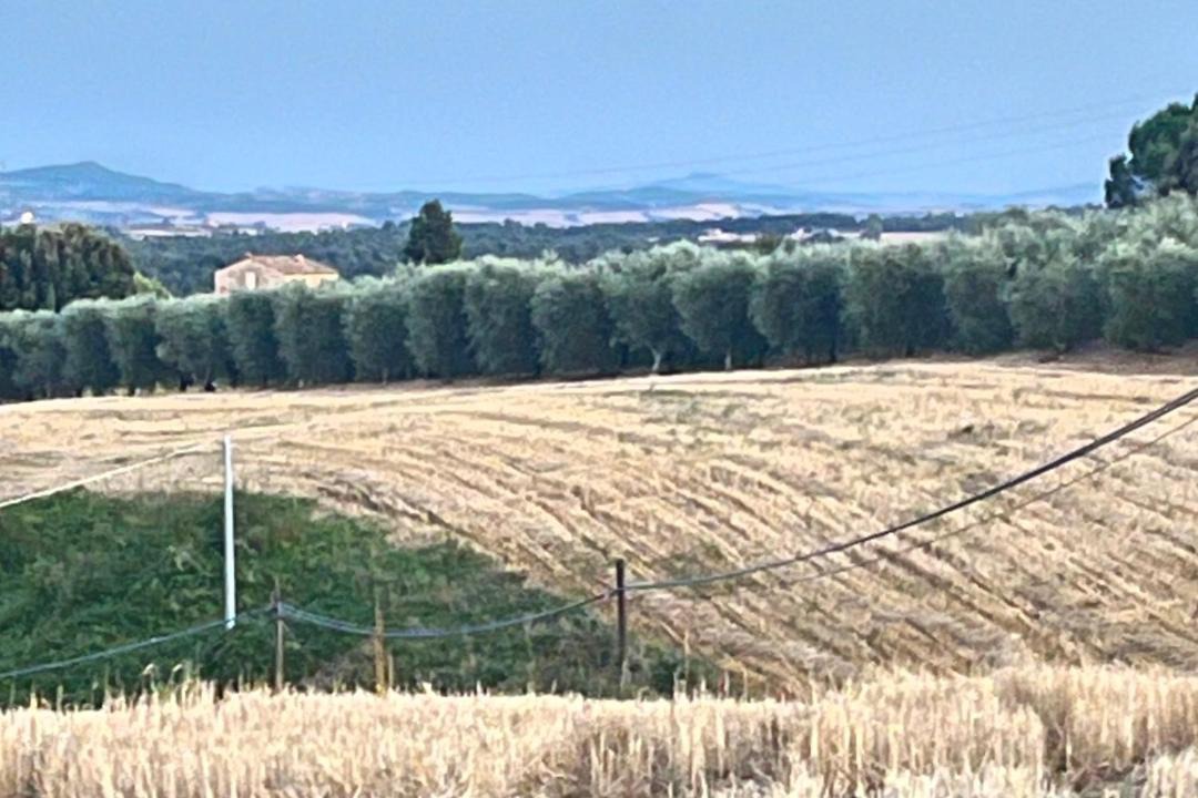 Photo of Others in Torre A Castello