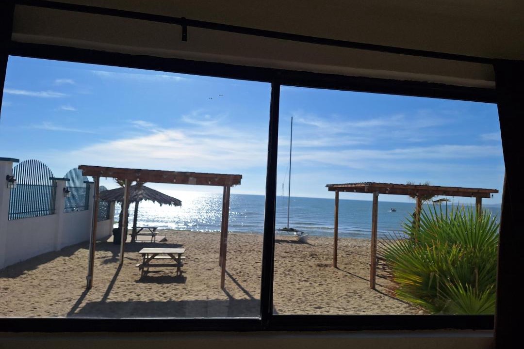 Photo of Others in San Felipe