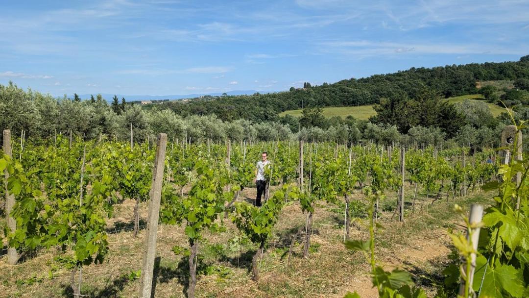 Photo of Others in Lastra a Signa