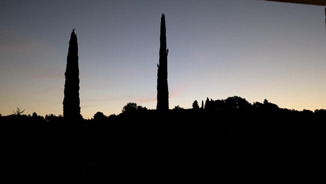 Photo of Others in Lastra a Signa