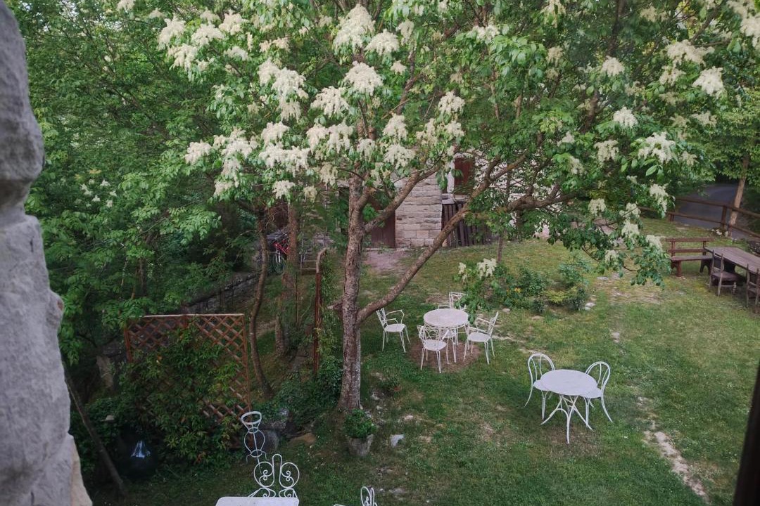 Photo of Others in Grizzana Morandi
