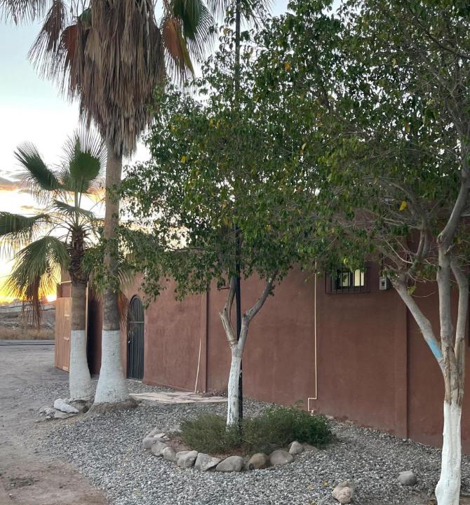 Photo of Others in Mulege
