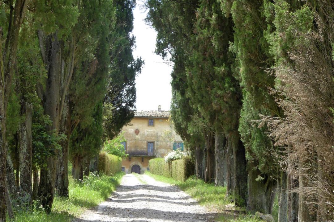 Photo of Others in Saline di Volterra
