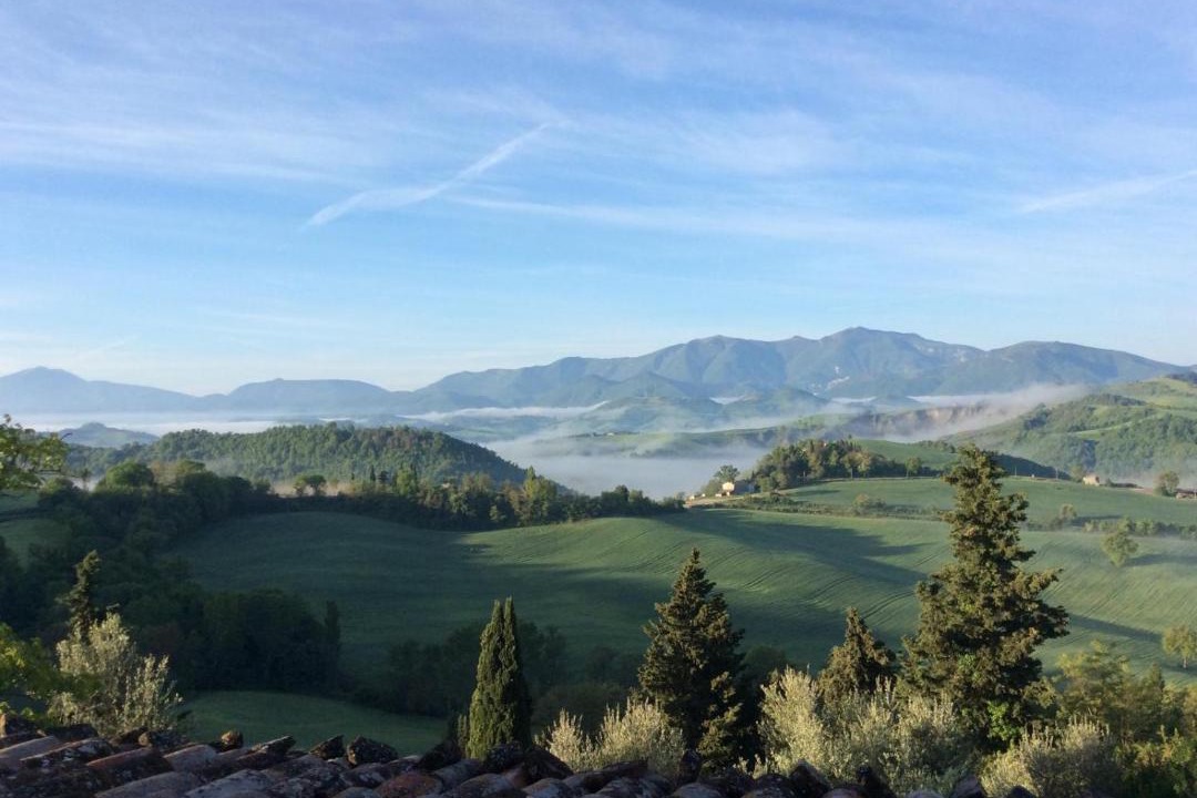 Photo of Others in Urbino