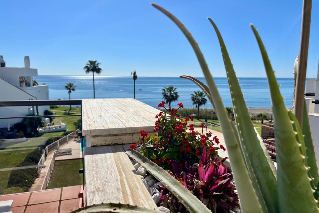 Photo of Patio Balcony in Casares del Mar