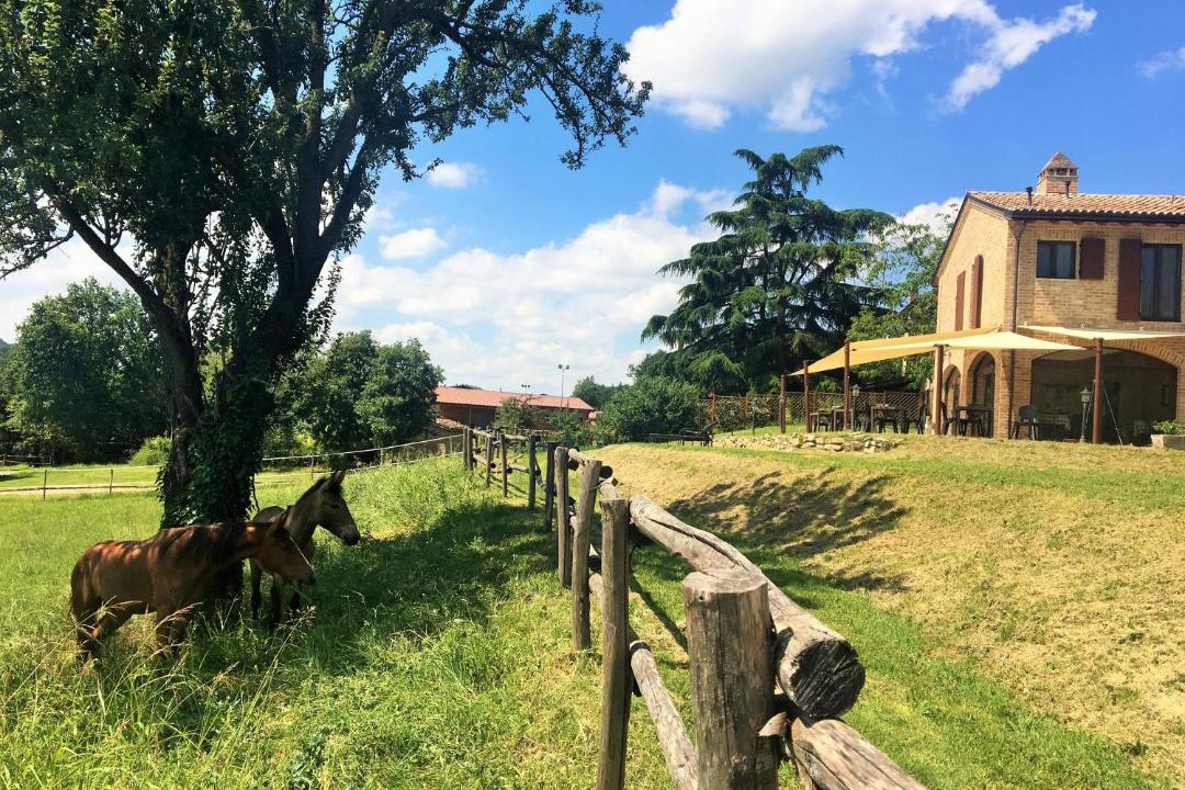 Photo of Others in Borghetto