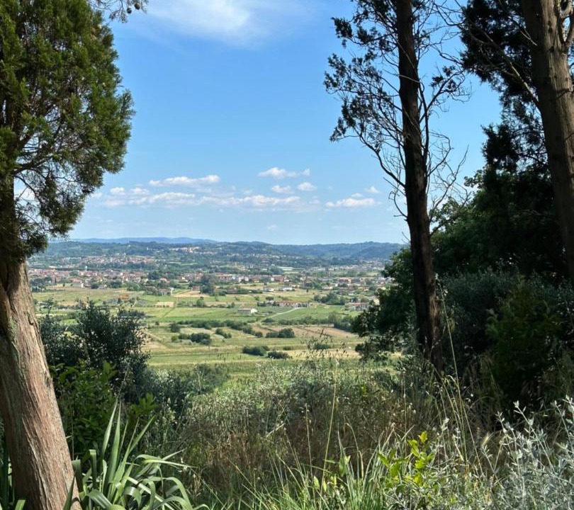 Photo of Others in Castelfranco di Sotto