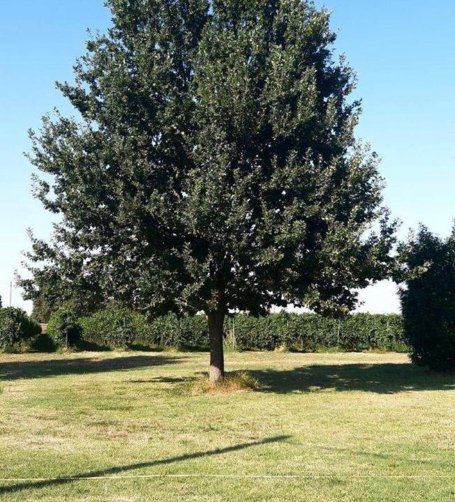 Photo of Others in Gargallo