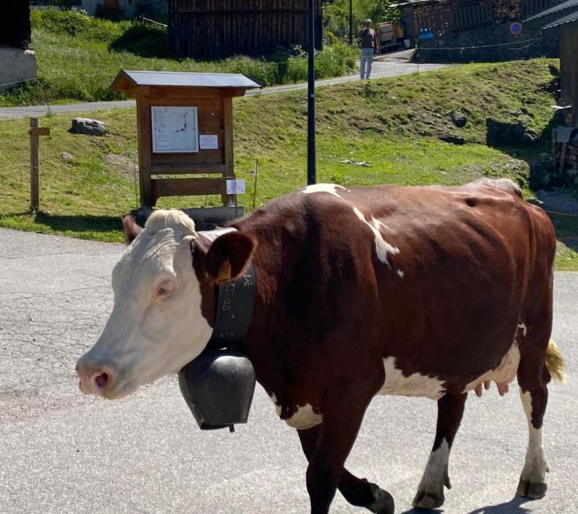 Photo of Others in Le Bouchet-Mont-Charvin