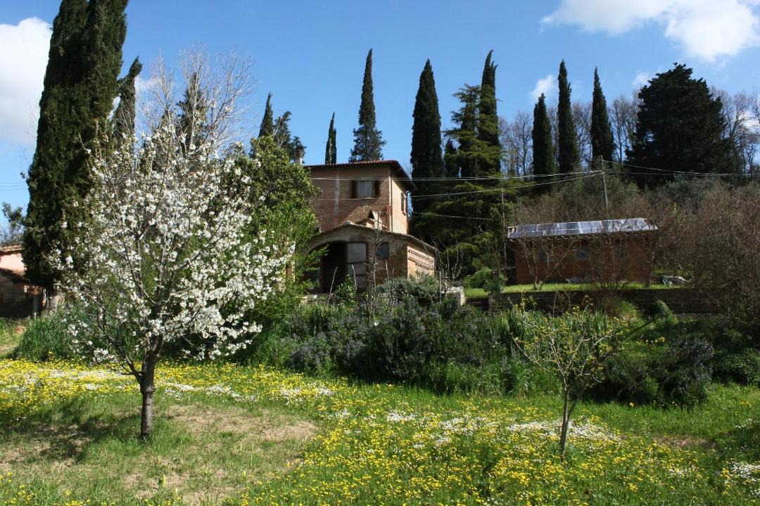 Photo of Others in Capannoli