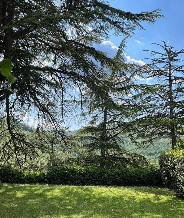 Photo of Others in Gaiole in Chianti