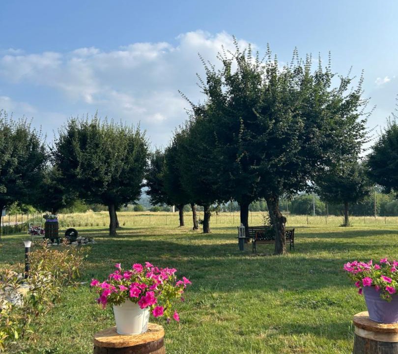 Photo of Others in Barberino di Mugello