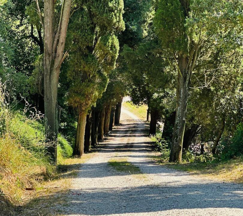 Photo of Others in Castelfranco di Sotto
