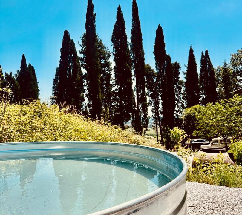 Photo of Others in Castelfranco di Sotto
