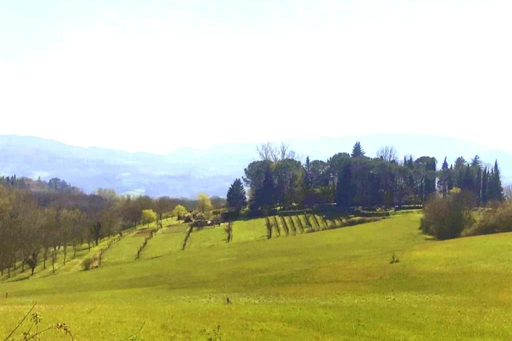 Photo of Others in Vicchio