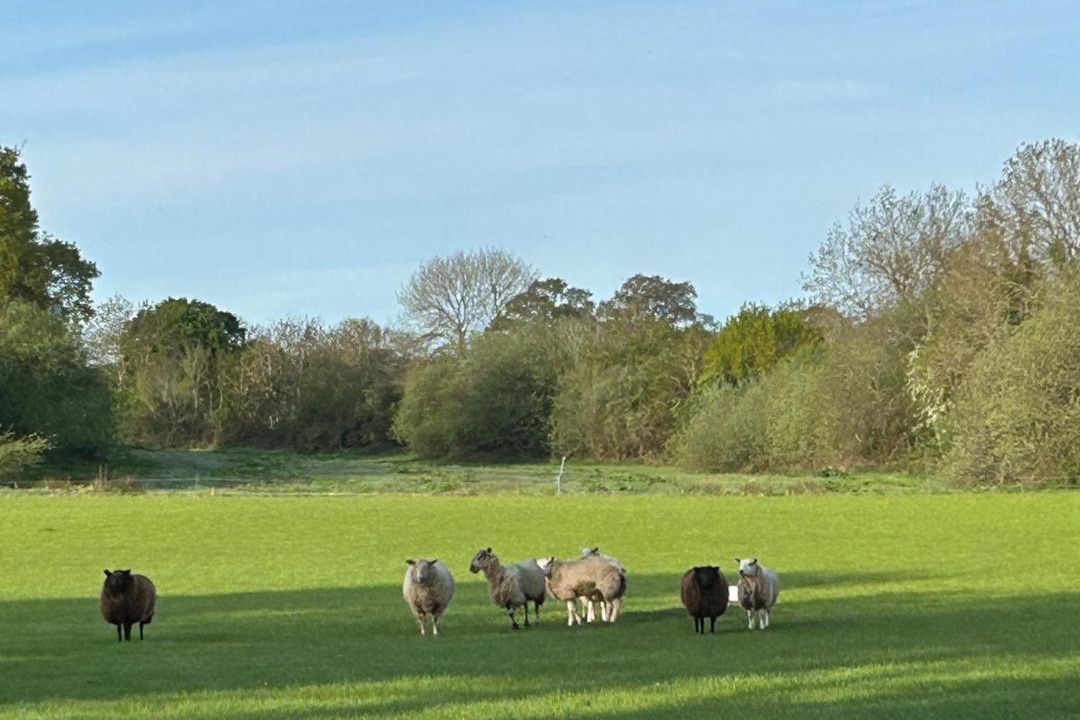 Photo of Others in Great Wolford