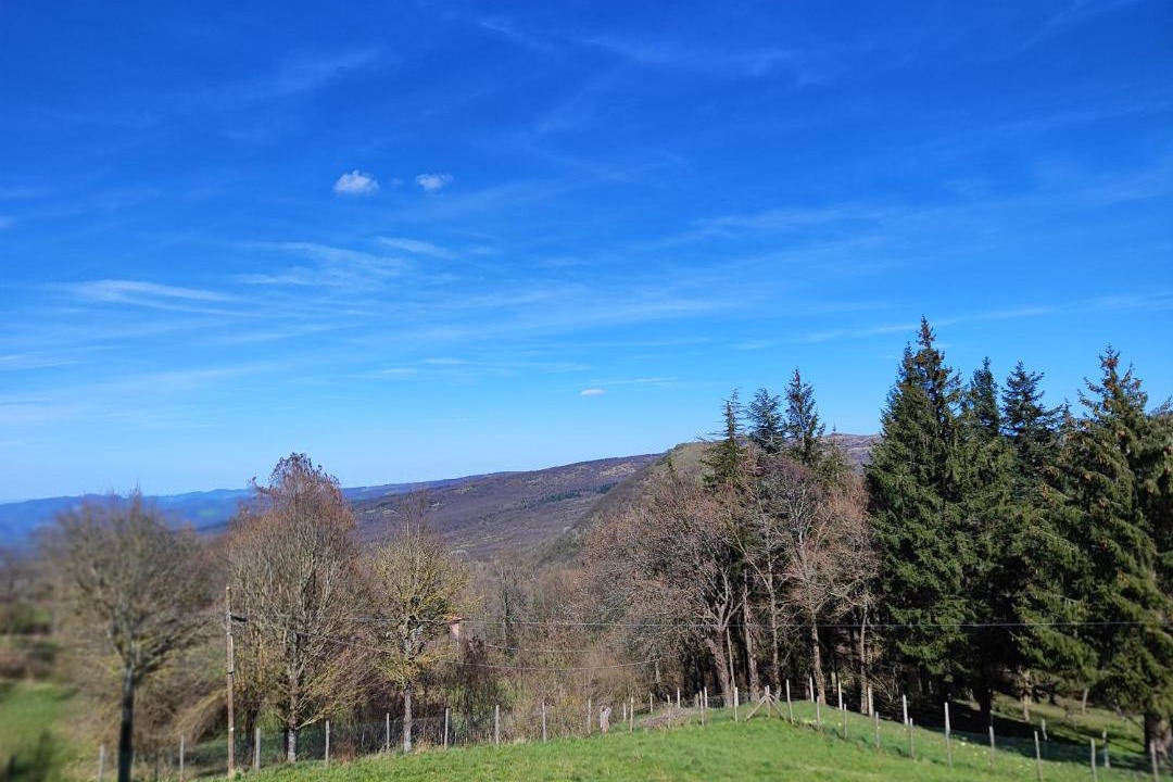 Photo of Others in Firenzuola