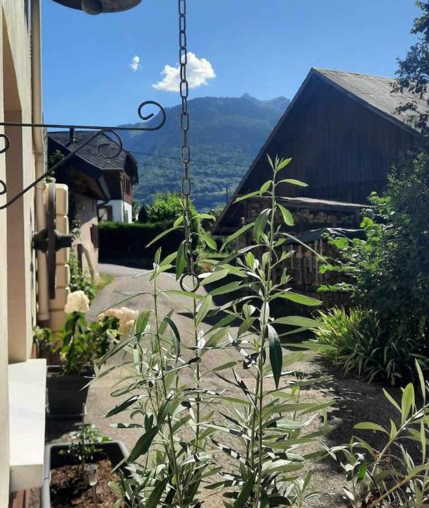 Photo of Others in Faverges-Seythenex