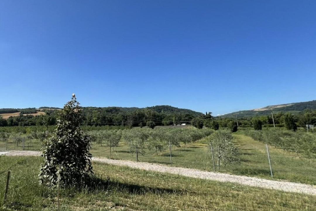 Photo of Others in San Lazzaro di Savena