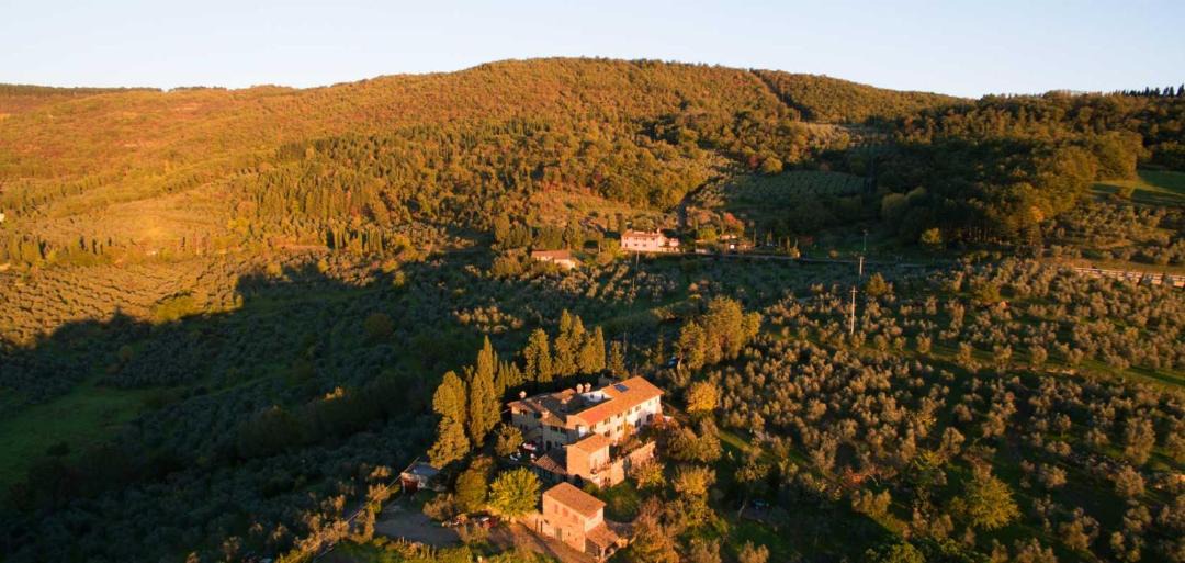 Photo of Others in Fiesole