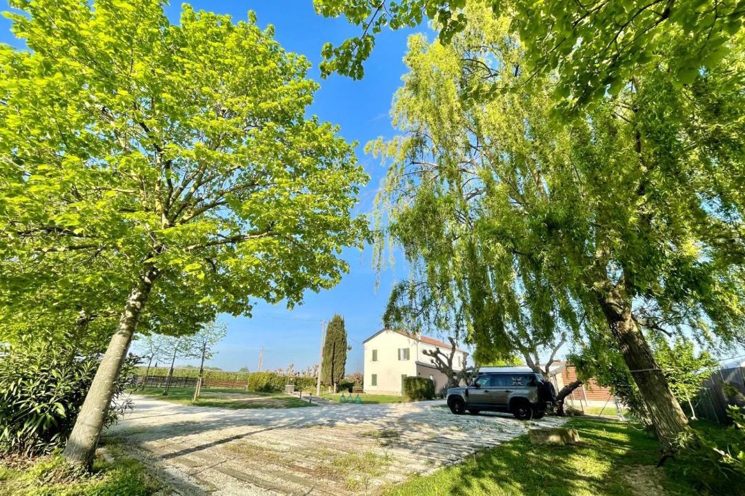 Photo of Others in Castiglione di Cervia