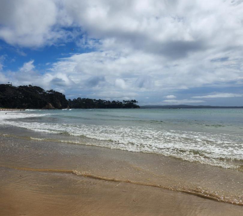 Photo of Others in Denhams Beach