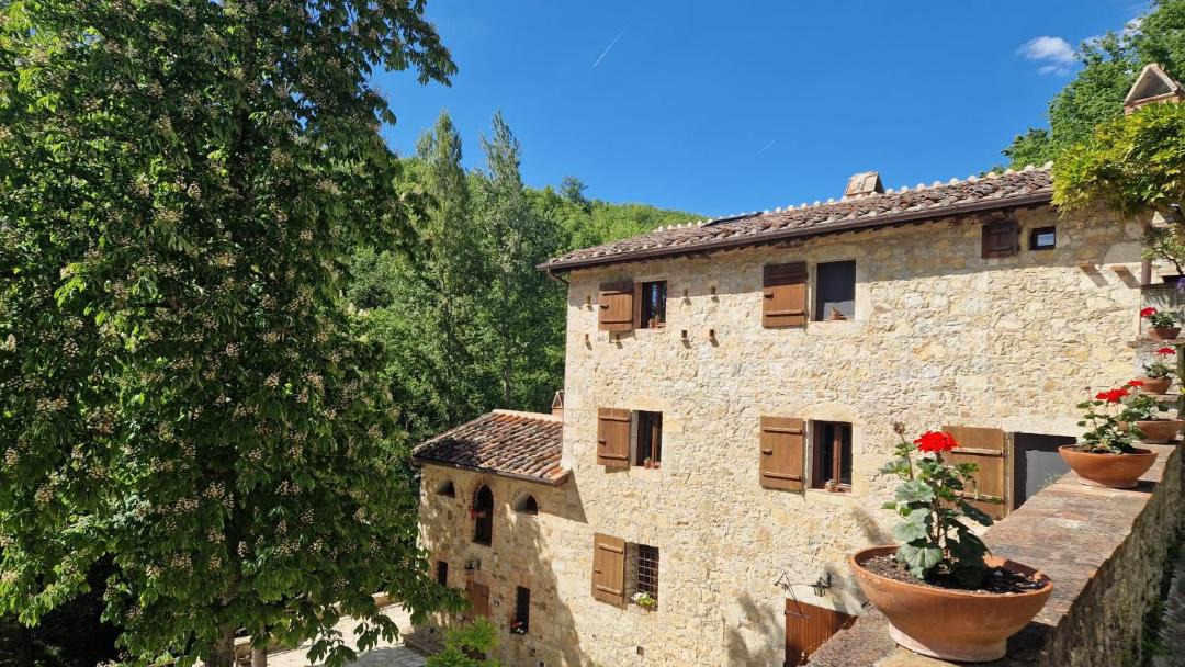 Photo of Others in Castellina in Chianti