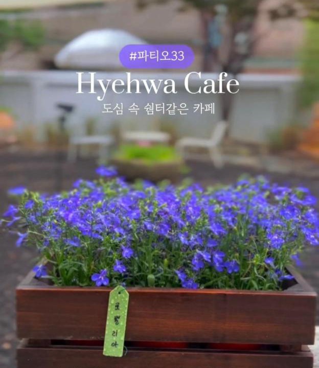 Photo of Others in Hyehwa