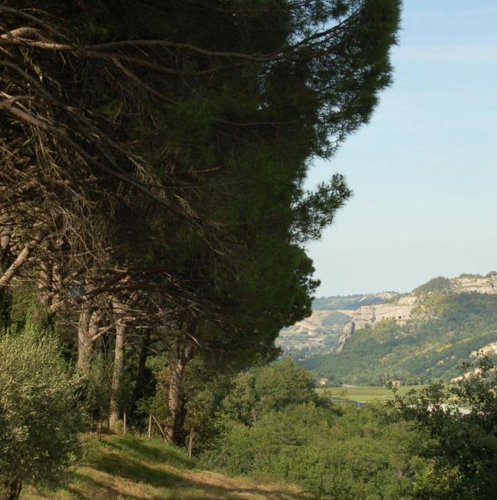 Photo of Others in Casola Valsenio