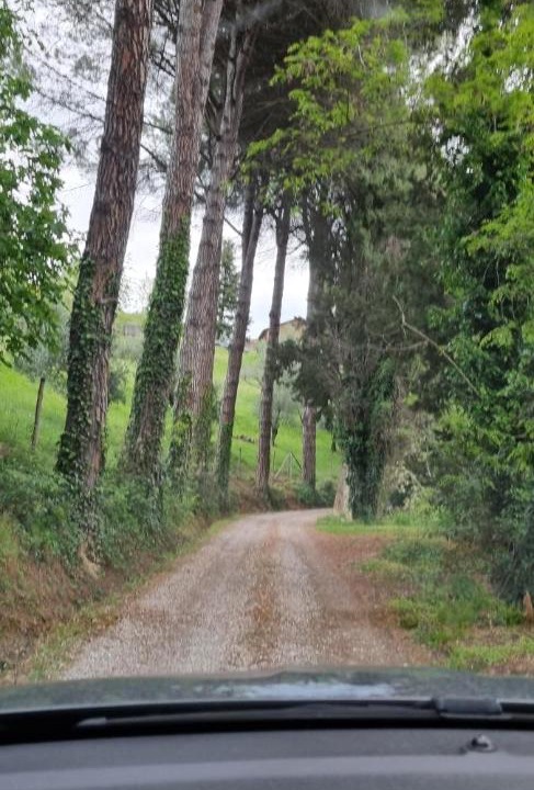 Photo of Others in Casola Valsenio