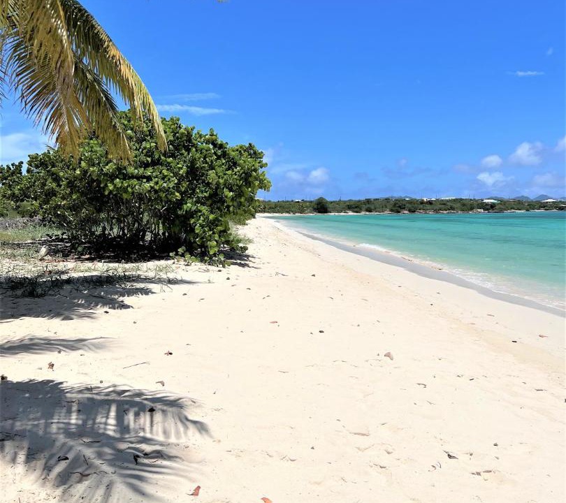 Photo of Others in Rendezvous Bay